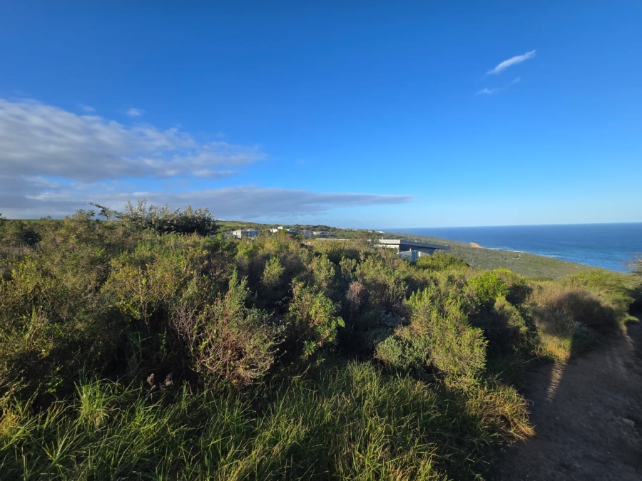 0 Bedroom Property for Sale in Oubaai Western Cape